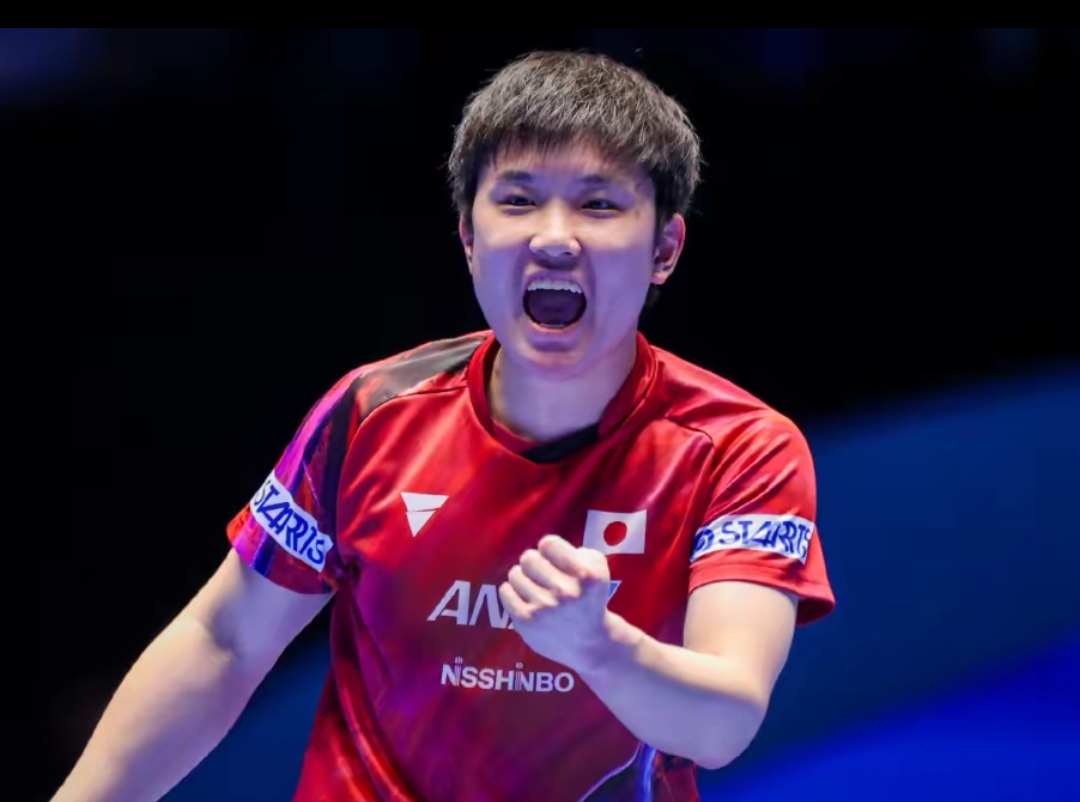 可能再次激 可能再次激